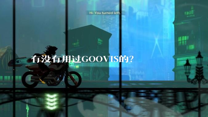 有没有用过GOOVIS的？
