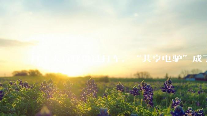 打工人直呼贵过打车，“共享电驴”成了县城最大出行刺客_松果_用户_车辆