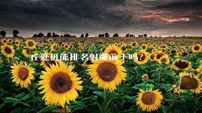 丘处机能排名射雕前十吗？