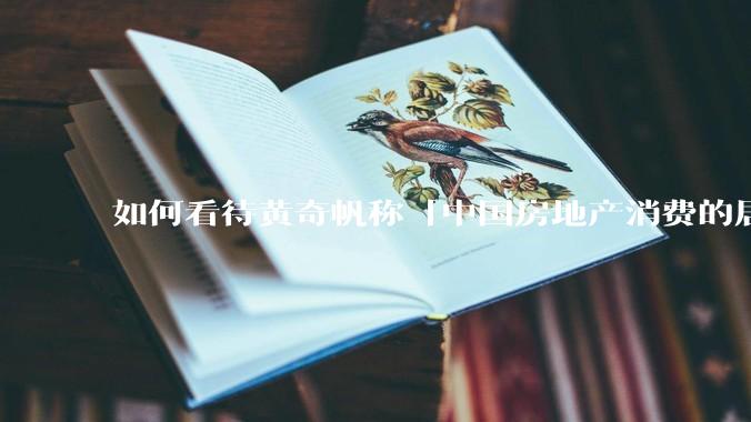如何看待黄奇帆称「中国房地产消费的居民负债占家庭收入比重达 137.9% ，需调整抑制消费政策」？