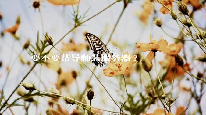 要不要帮导师装服务器?