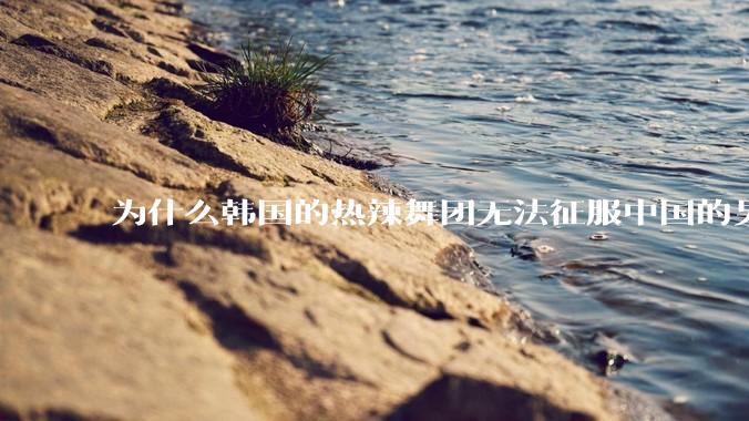 为什么韩国的热辣舞团无法征服中国的男性市场？？