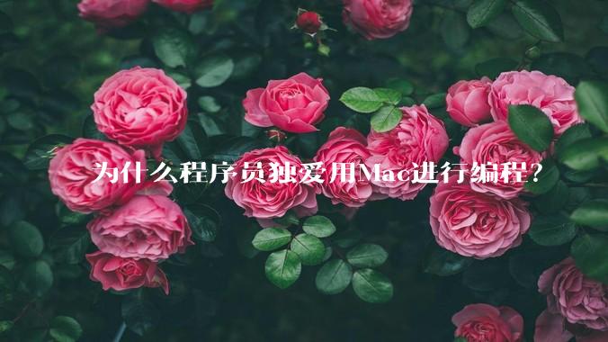 为什么程序员独爱用Mac进行编程？