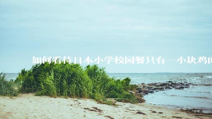 如何看待日本小学校园餐只有一小块鸡肉？