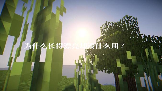 为什么长得漂亮却没什么用?