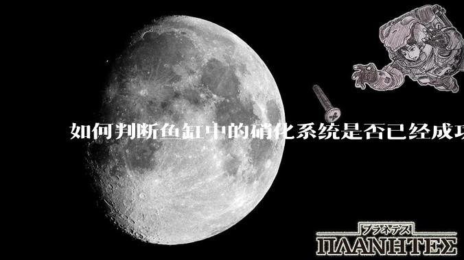 如何判断鱼缸中的硝化系统是否已经成功建立？