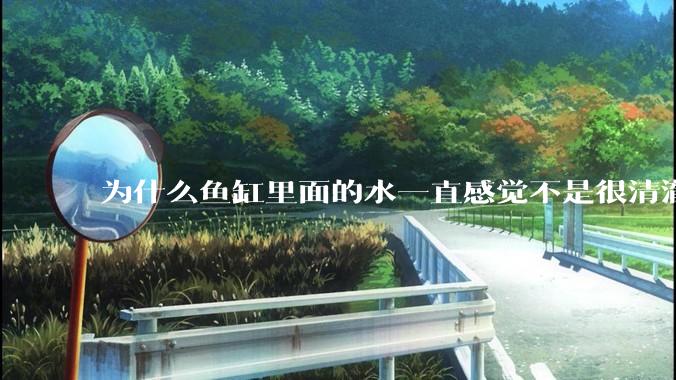 为什么鱼缸里面的水一直感觉不是很清澈呢？